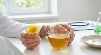 Bylinky od babičky, nebo věda? Proč i lékaři začínají brát vážně pampeliškový čaj