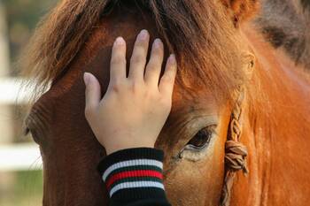Hipoterapie - kůň jako léčitel