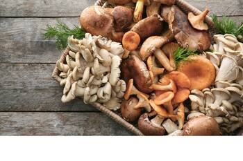 Objevte zdravé účinky hub