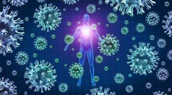 Imunitní systém v akci: Bojovník i zahradník v nás