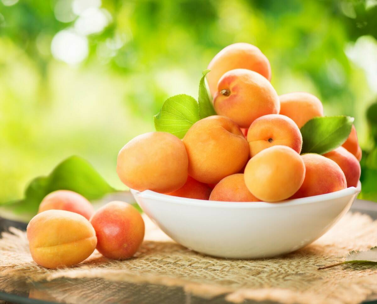 Meruňky - oranžová dávka zdraví