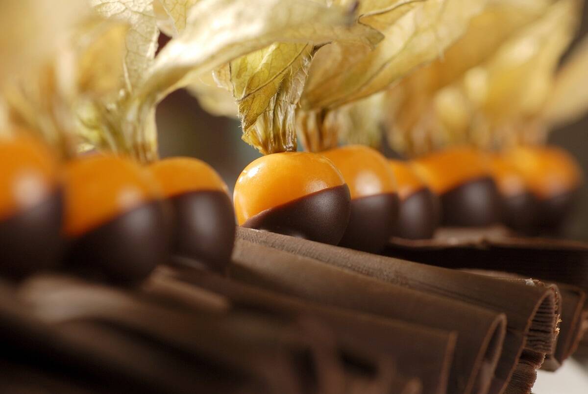 Physalis v čokoládě
