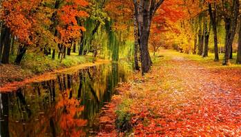 5 podzimních výletů, při kterých vás krajina odmění