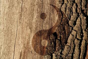 Zima z pohledu tradiční čínské medicíny