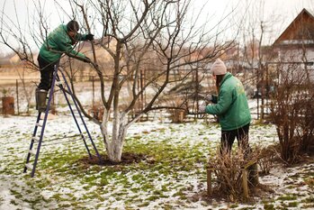 Jak připravit zahradu na zimu: Kompletní průvodce krok za krokem